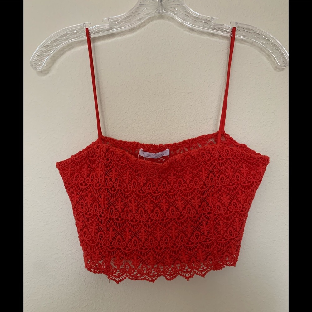 Zara crop top